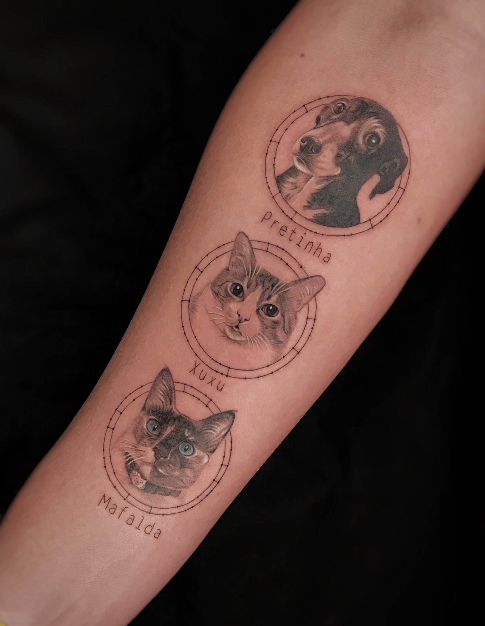 1bufqe4kvmvckv4nlzwnjmq-1 Tatuagem de três animais: um cachorro e dois gatos, com seus nomes escritos abaixo de cada desenho.