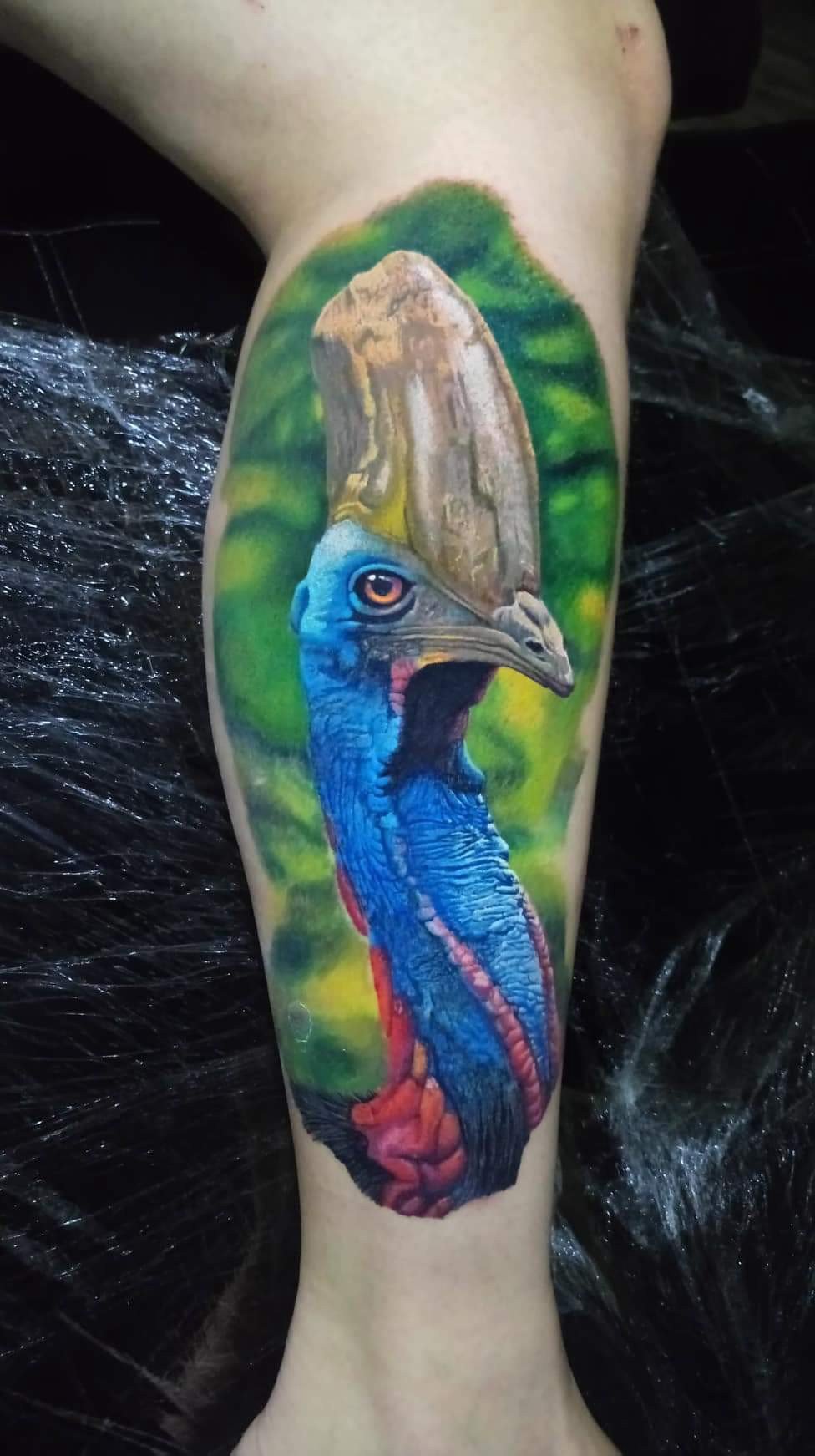 1f0zt3sfqmsjovg40di5xgg-1 Tatuagem colorida de casuar em uma perna, destacando detalhes realistas da ave sobre fundo verde.