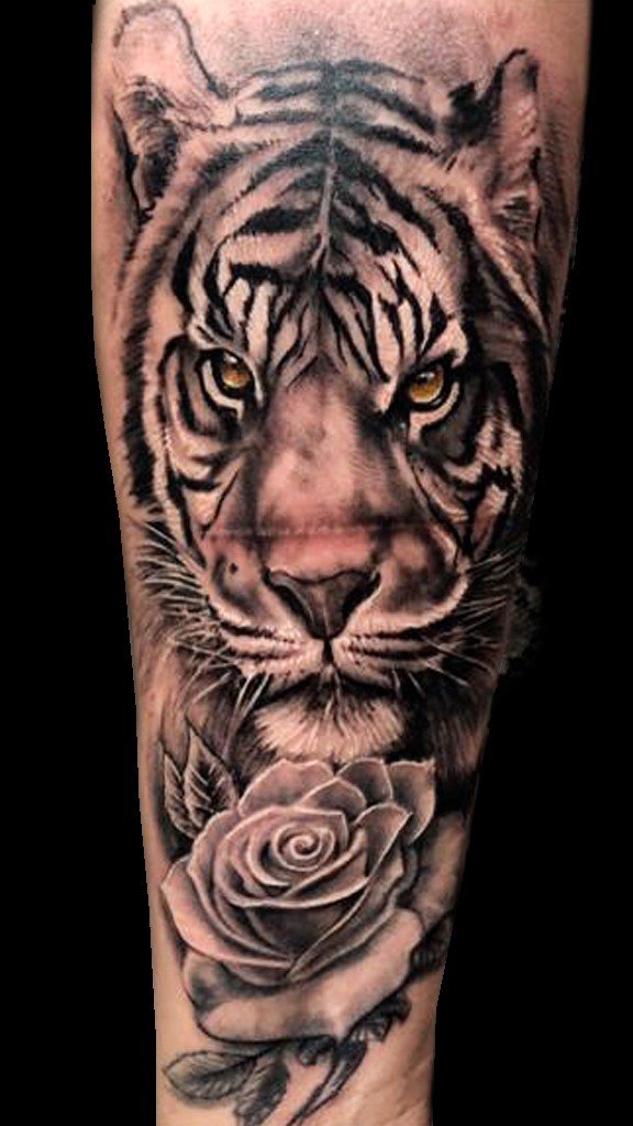 1gaqvdxe2ui7vqpkgjdv2tq-1 Tatuagem de um tigre com olhar intenso e uma rosa detalhada abaixo, em estilo preto e cinza.