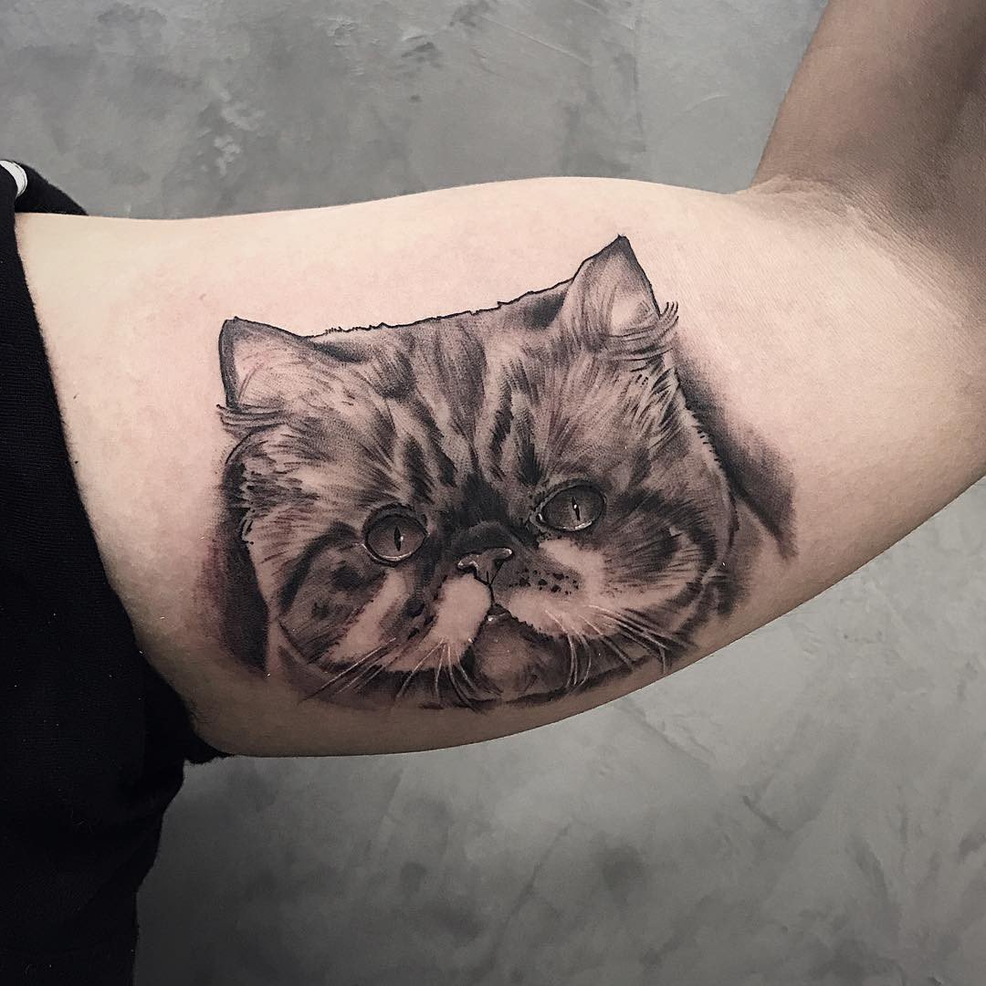 1hpgpepyg8tvjnr2cyxt-zg-1 1hpgpepyg8tvjnr2cyxt zg 1