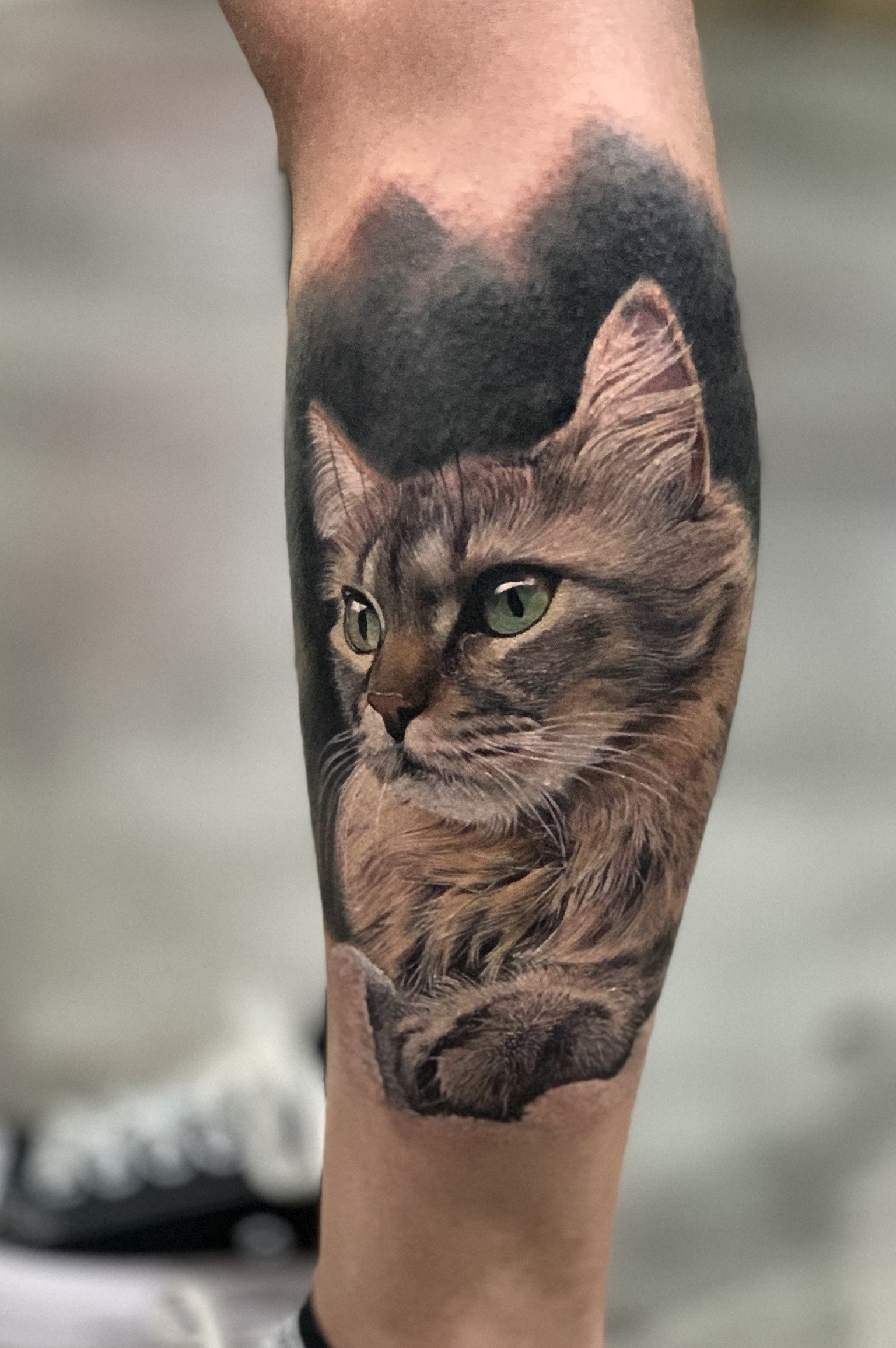 1j07m0uw4rsryzowrn6uumg-1 Tatuagem realista de gato com pelagem detalhada e olhos verdes em um braço.