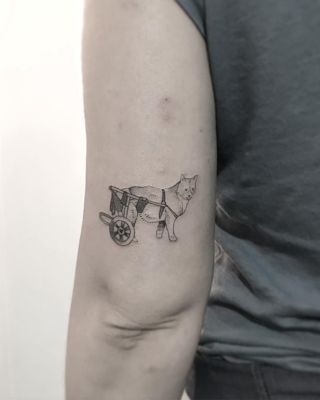 1leyrvanop-tnboinkx3duw-1 1leyrvanop tnboinkx3duw 1