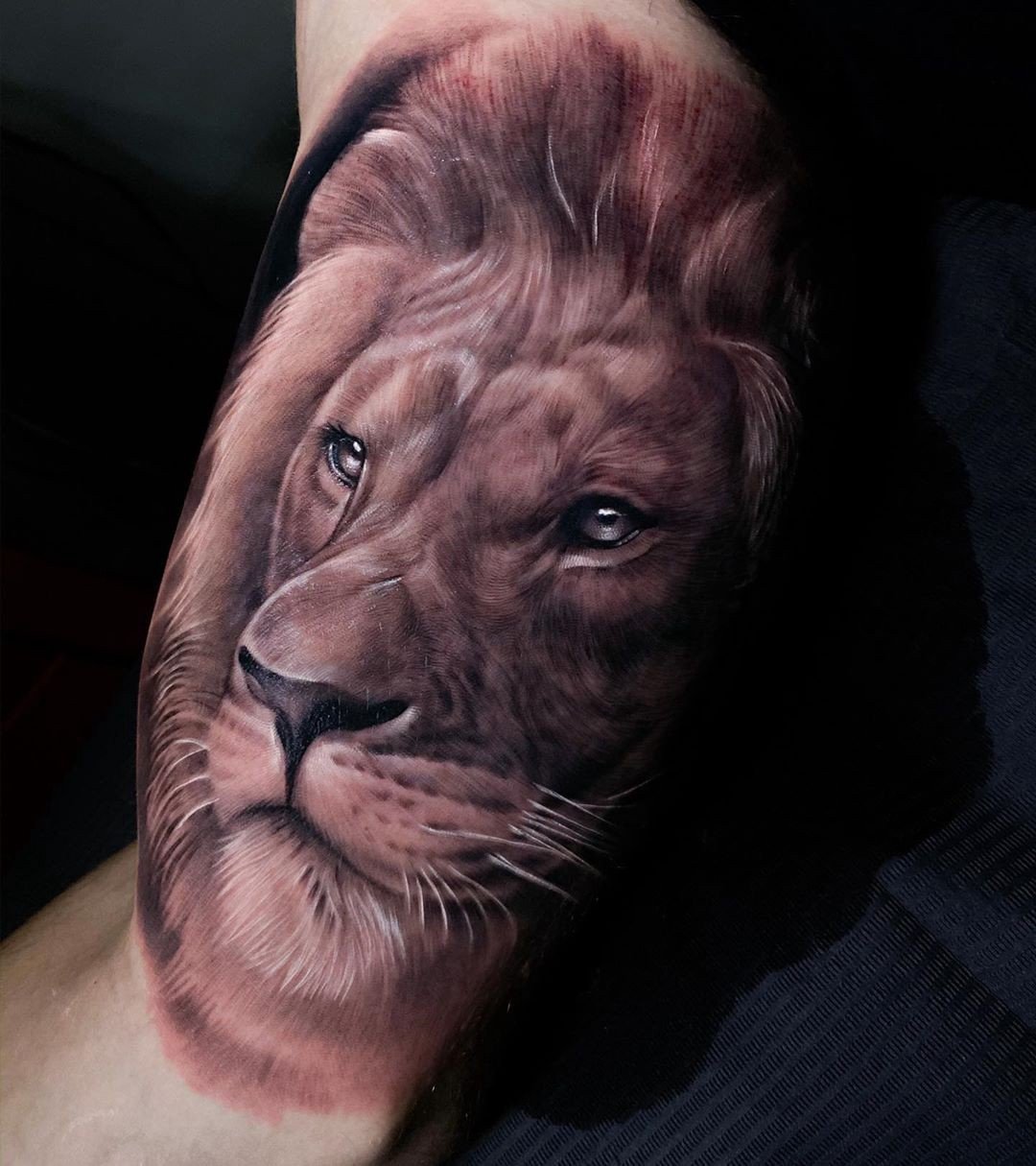 1sdm1xpiyi_bijmuykcaokq Tatuagem realista de leão, com detalhes em sombras e texturas, feita no braço de uma pessoa.