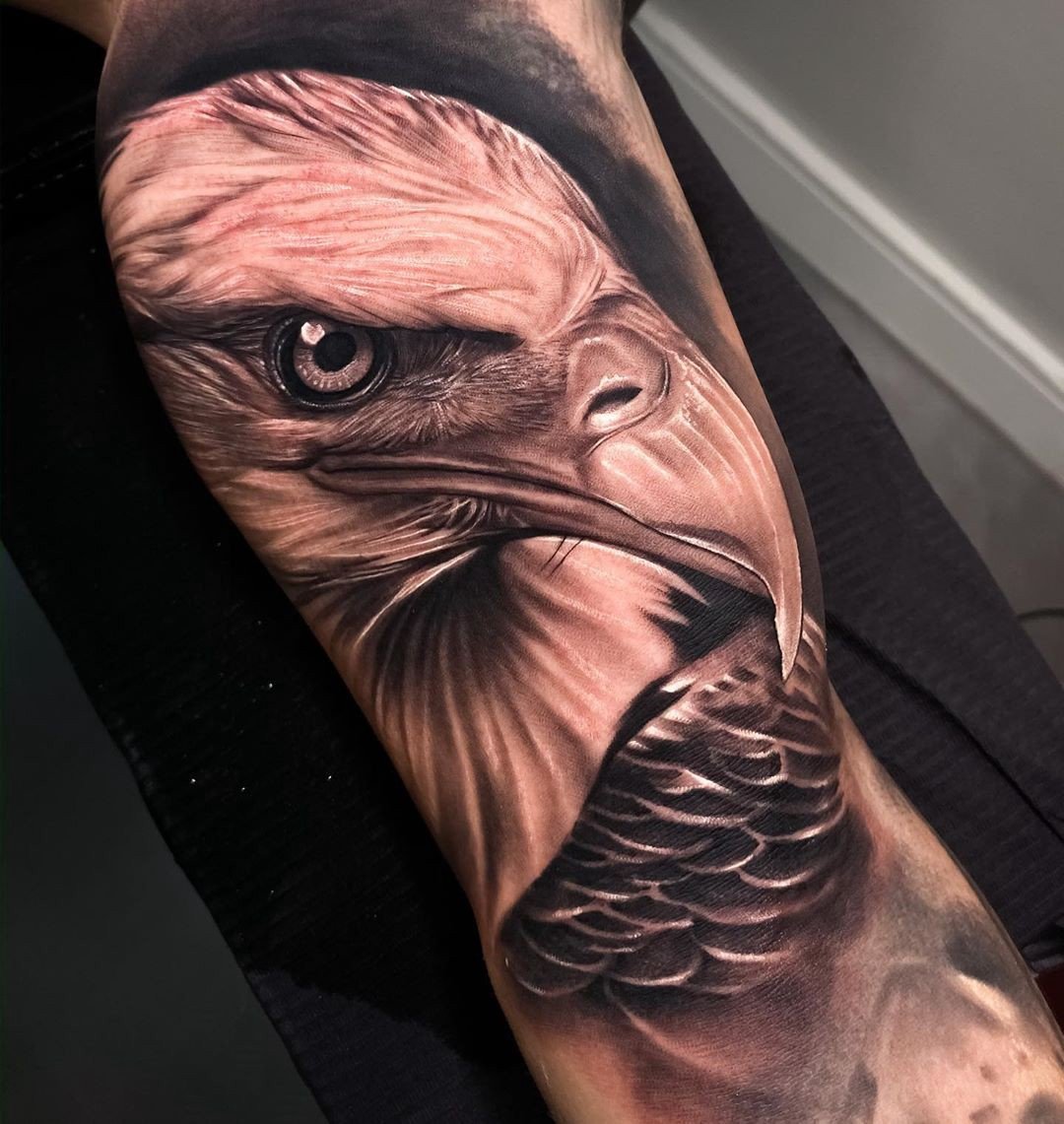 1vqdjw_1-mmebk2rah8k-6a Tatuagem realista de águia com detalhes em penas e olhar intenso no braço de uma pessoa.
