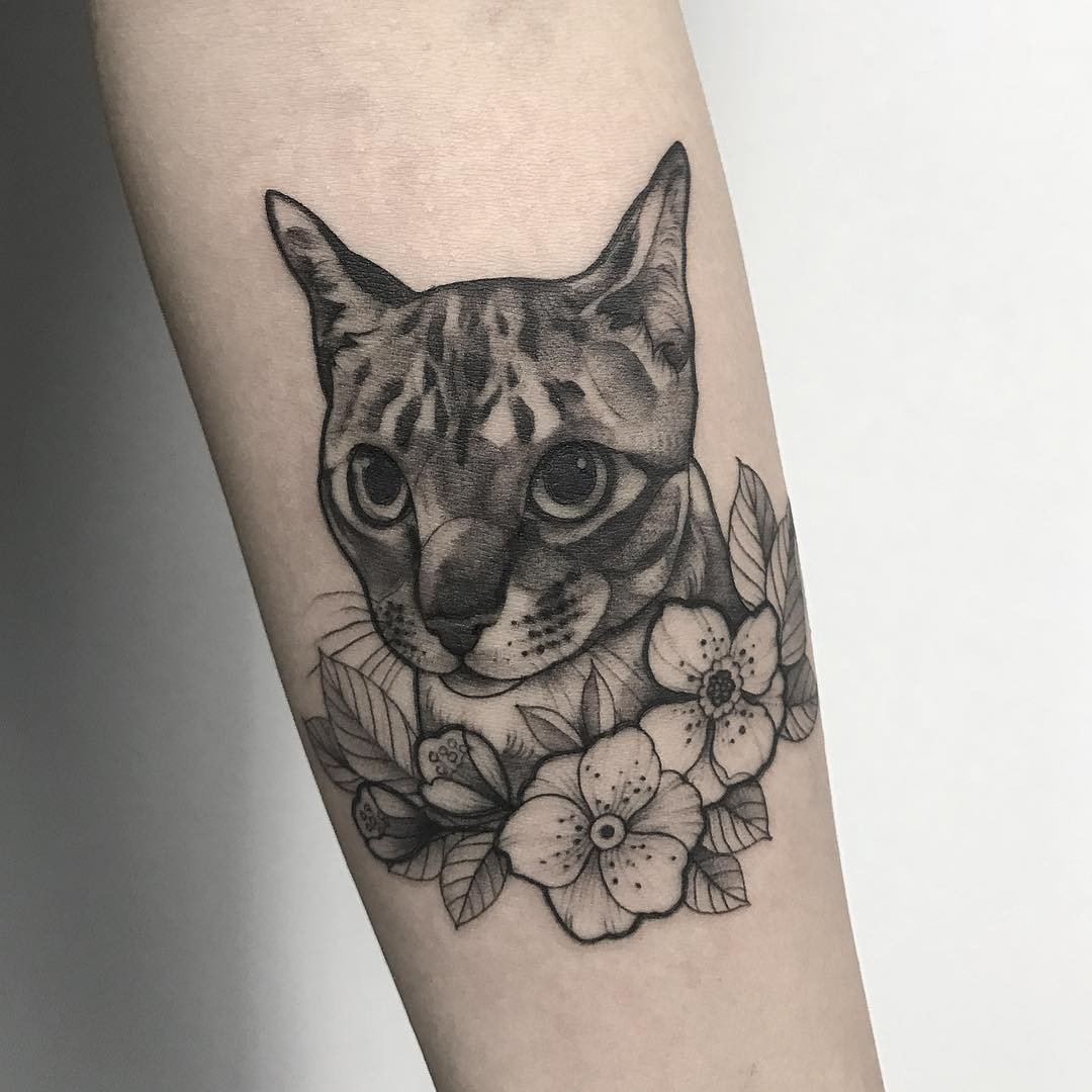 1xskvtp2zpyhby4lq__nv4a-1 1xskvtp2zpyhby4lq nv4a 1