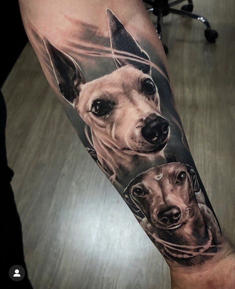 1zt19kfnlidzpvqyyejs9kq-1 Tatuagem realista de dois cães no antebraço, em um ambiente interno com piso de madeira.