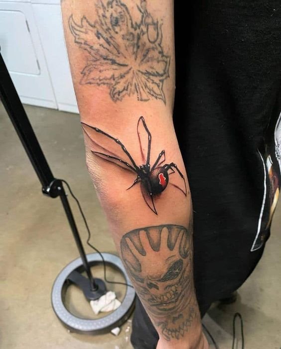 tatuagem-da-aranha27 tatuagem da aranha27
