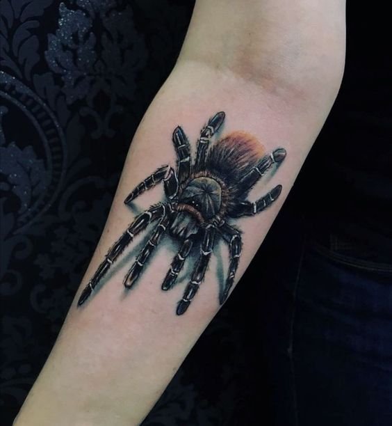 tatuagem-da-aranha29 tatuagem da aranha29