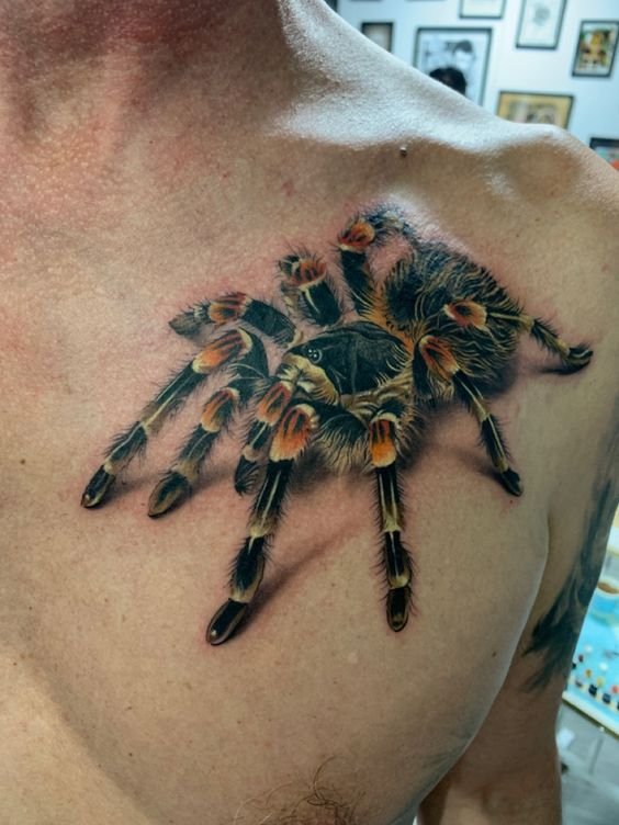 tatuagem-da-aranha30 tatuagem da aranha30