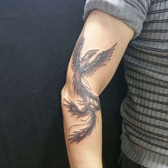 tatuagem-de-fenix03 tatuagem de