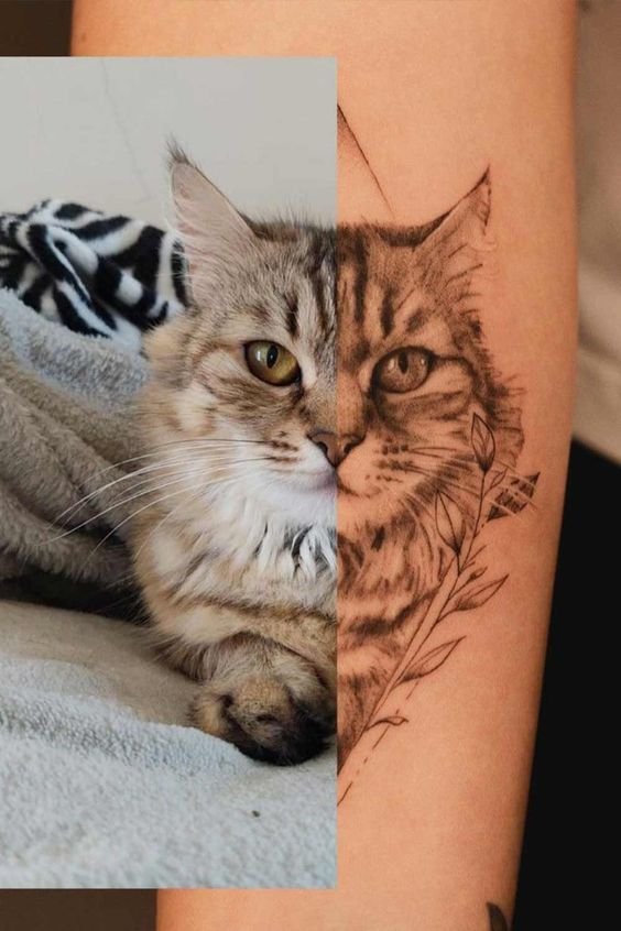 tatuagem-de-gato13 tatuagem de gato13