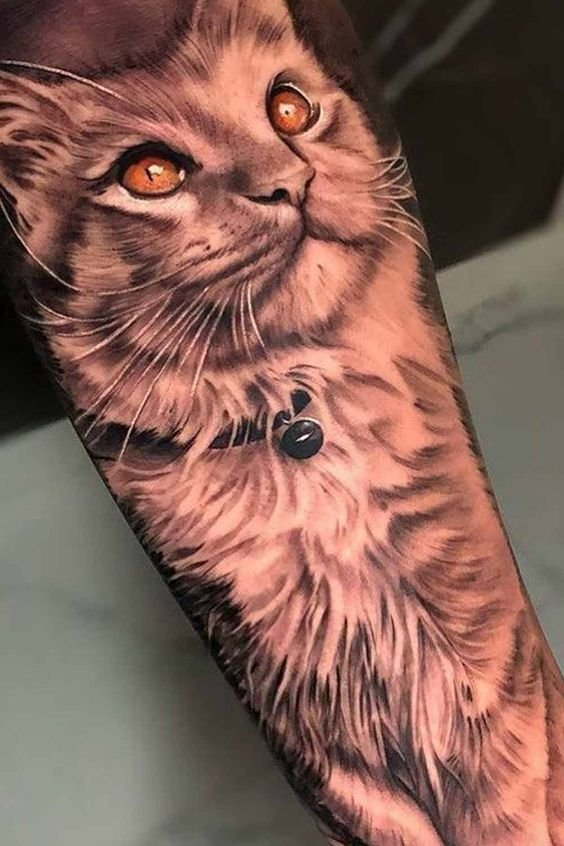 tatuagem-de-gato15 tatuagem de gato15