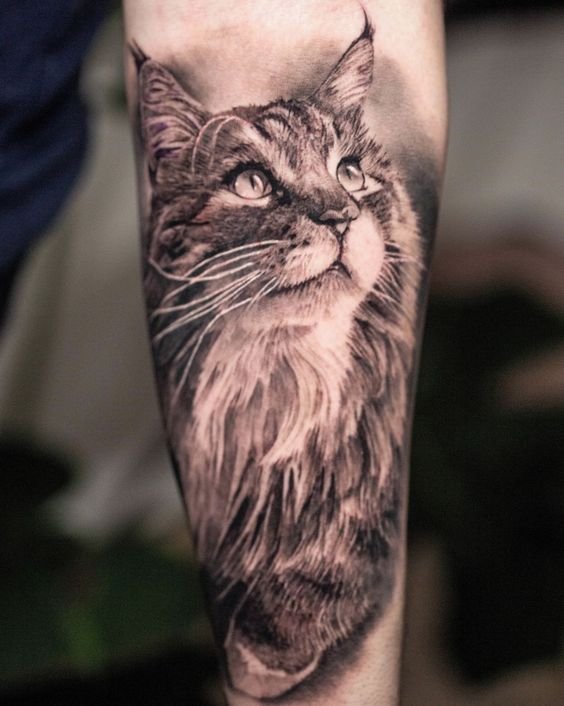 tatuagem-de-gato16 tatuagem de gato16
