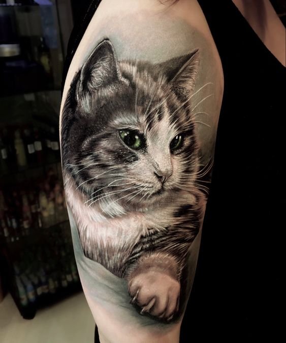 tatuagem-de-gato17 tatuagem de gato17