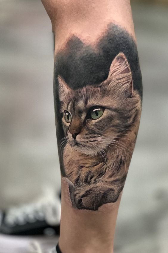 tatuagem-de-gato18 tatuagem de gato18