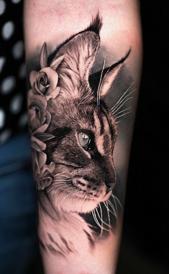tatuagem-de-gato19 tatuagem de gato19