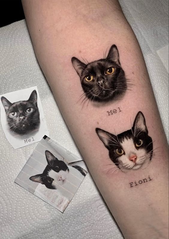 tatuagem-de-gato21 tatuagem de gato21