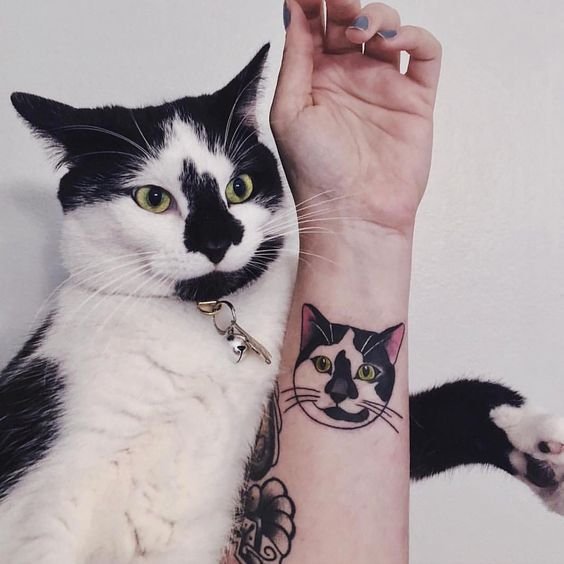 tatuagem-de-gato22 tatuagem de gato22
