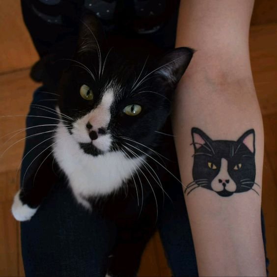 tatuagem-de-gato23 tatuagem de gato23