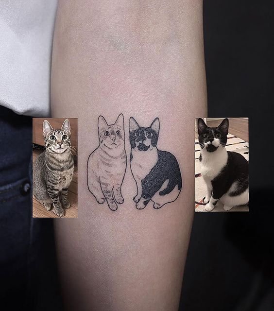 tatuagem-de-gato24 tatuagem de gato24