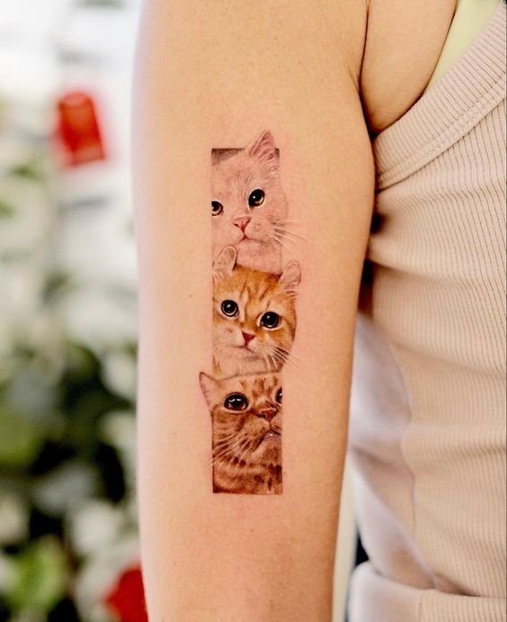 tatuagem-de-gato28 tatuagem de gato28
