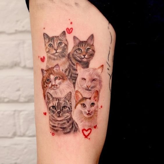 tatuagem-de-gato29 tatuagem de gato29