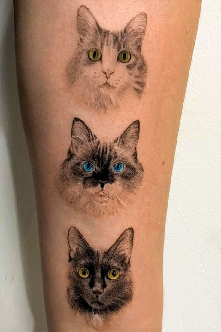 tatuagem-de-gato30 tatuagem de gato30
