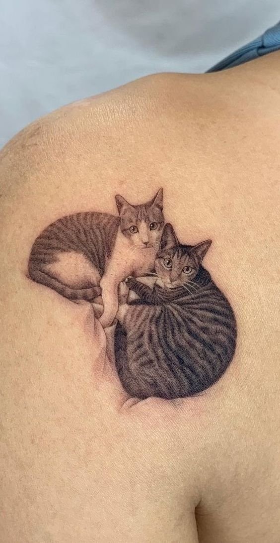 tatuagem-de-gato31 tatuagem de gato31