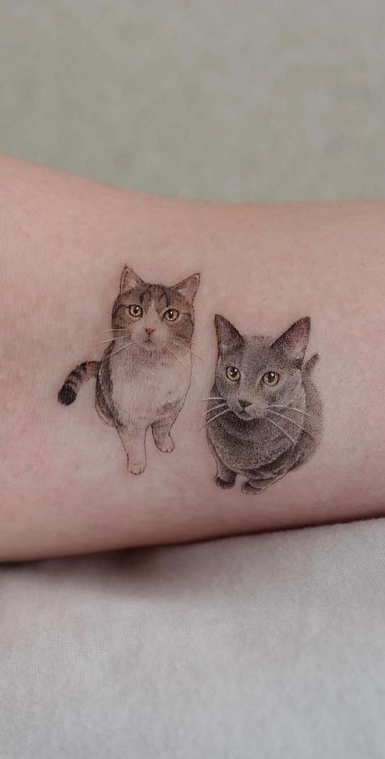 tatuagem-de-gato32 tatuagem de gato32