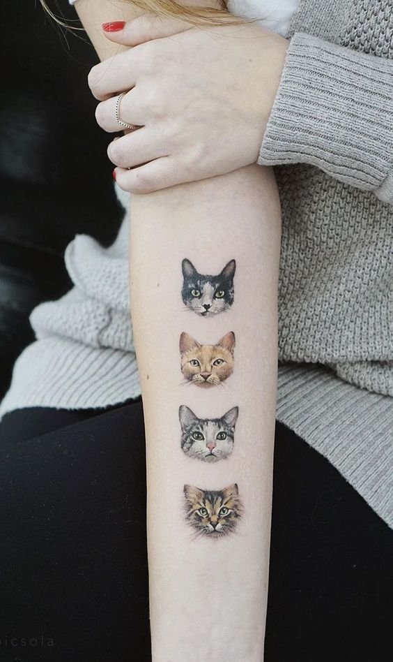 tatuagem-de-gato33 tatuagem de gato33