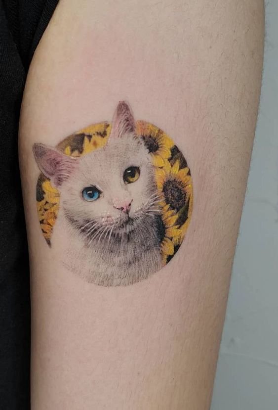 tatuagem-de-gato34 tatuagem de gato34