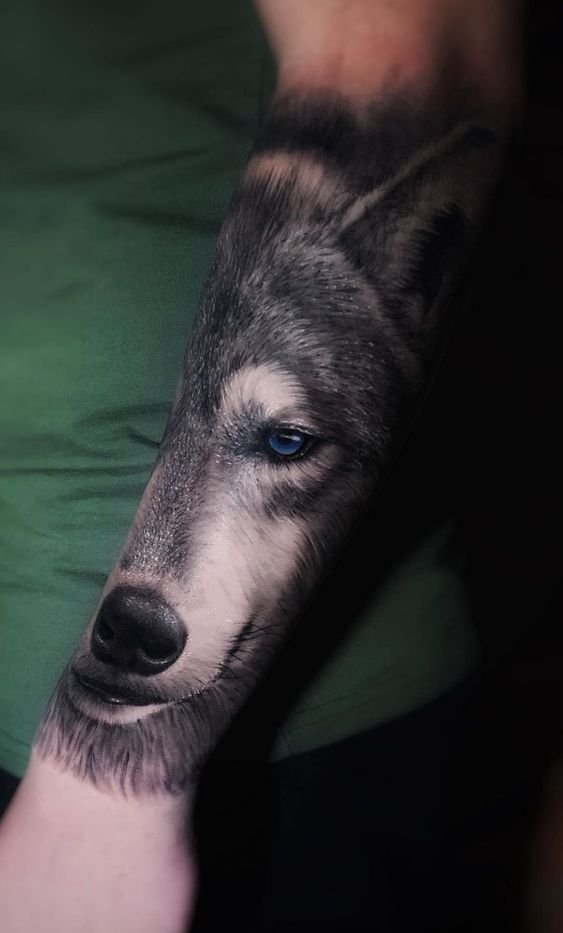 tatuagem-de-lobo11 tatuagem de lobo11