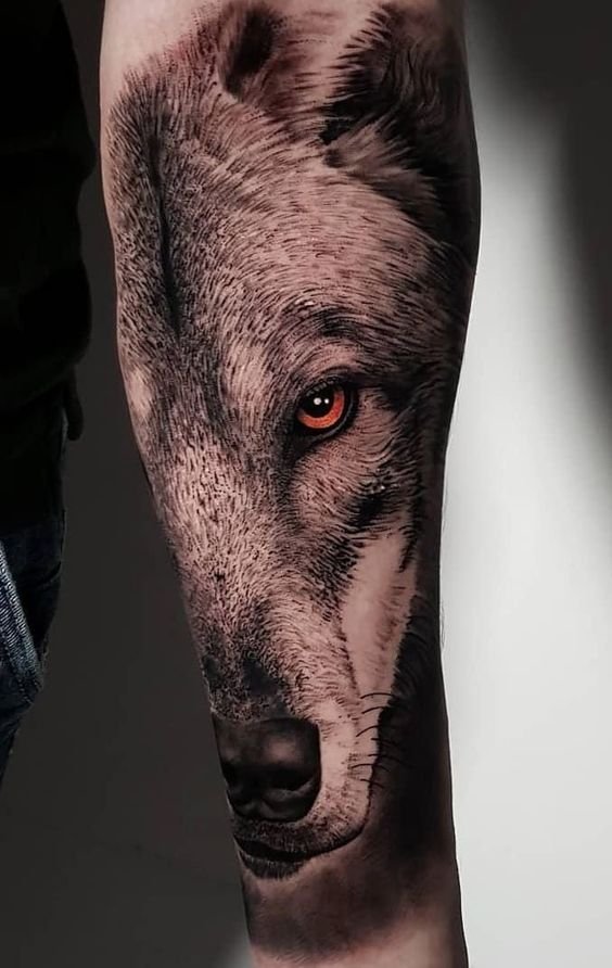 tatuagem-de-lobo12 tatuagem de lobo12