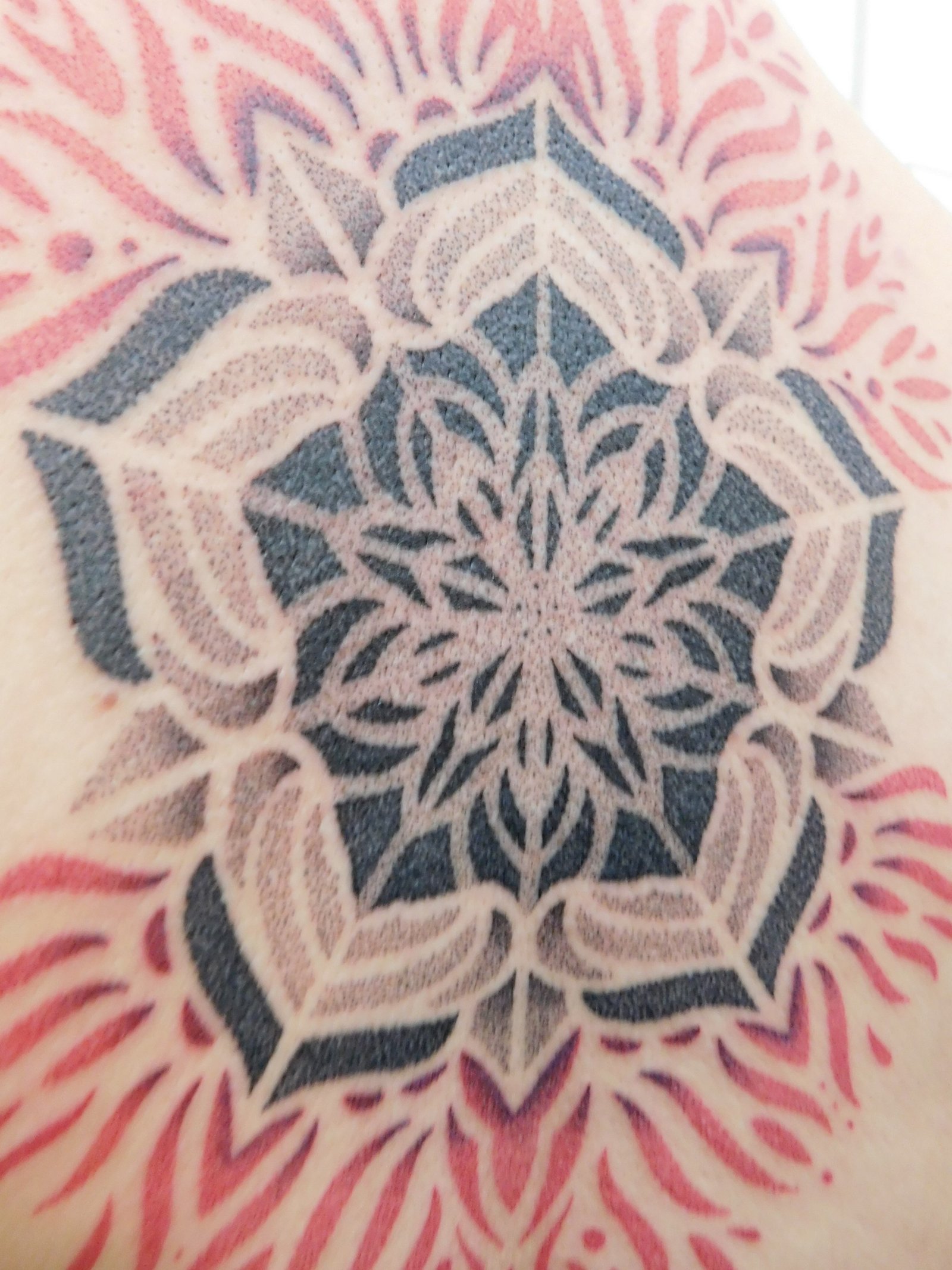 1-mraztba4_hdu3h0ofbbpa 1 mraztba4 hdu3h0ofbbpa