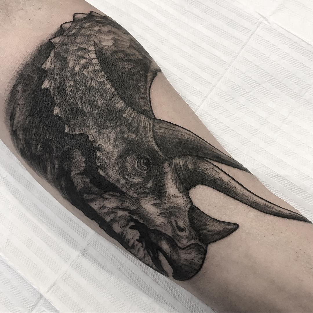 101eetbbeazqu6iaxhlr-cg 101eetbbeazqu6iaxhlr cg