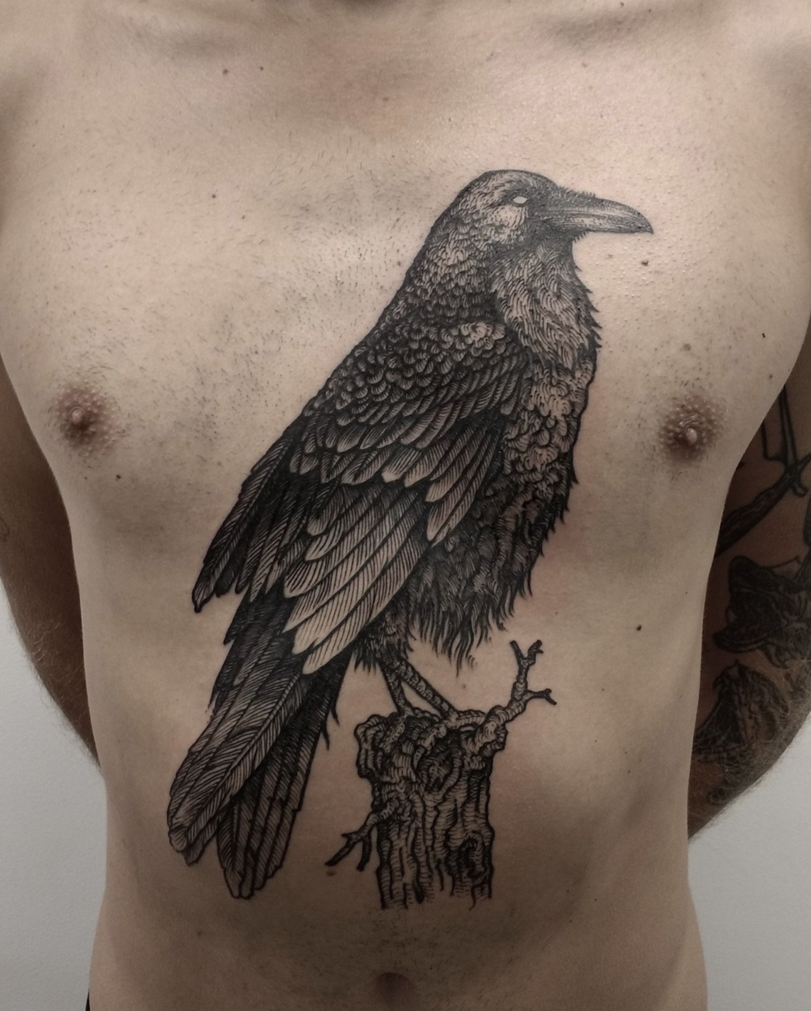 11xnudh106fe0pr-8zxa7pa 11xnudh106fe0pr