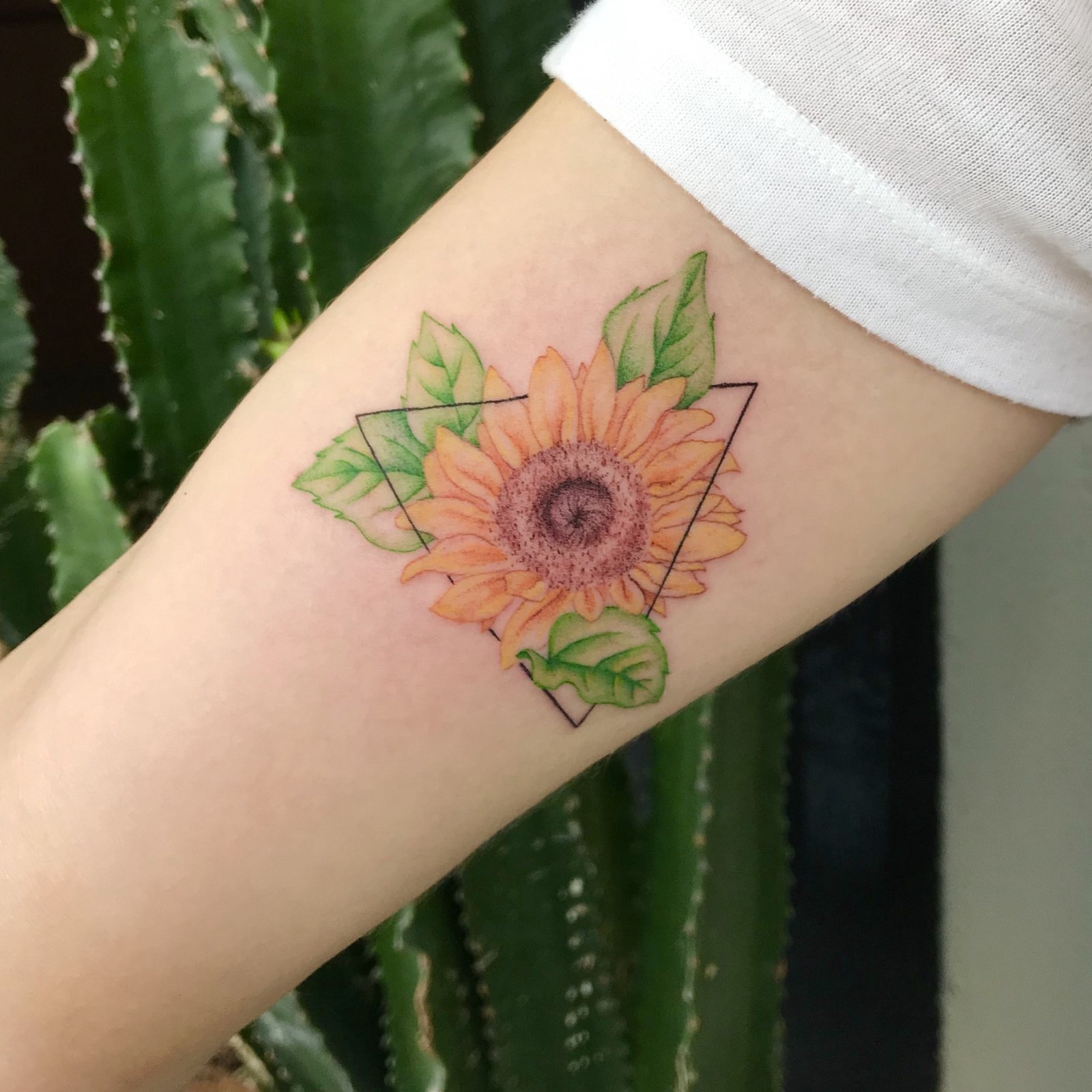 12ccf7xwr4afvwzjfxm95mg