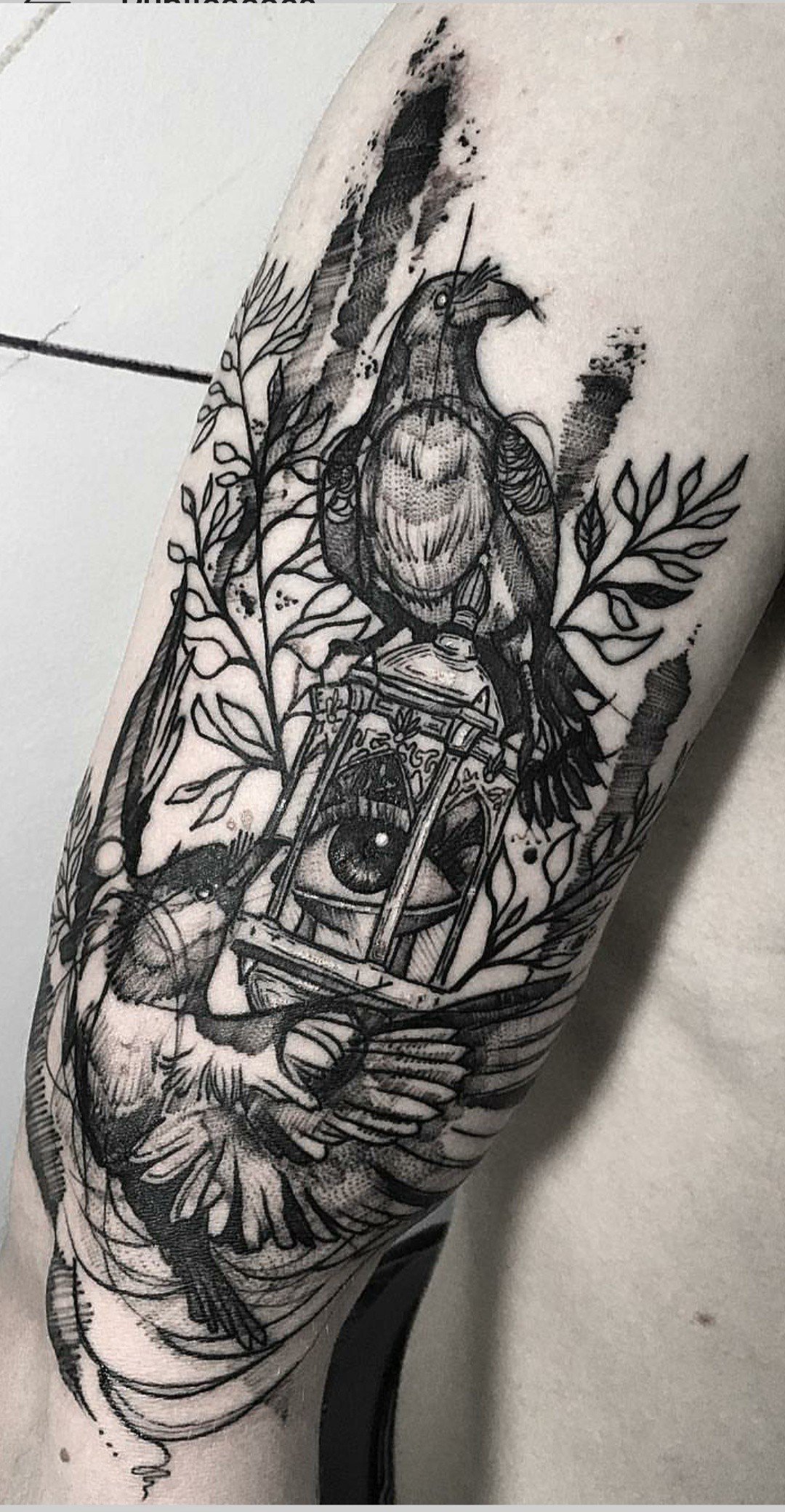 12hcvqnrsezg_rz0icylacq 12hcvqnrsezg rz0icylacq