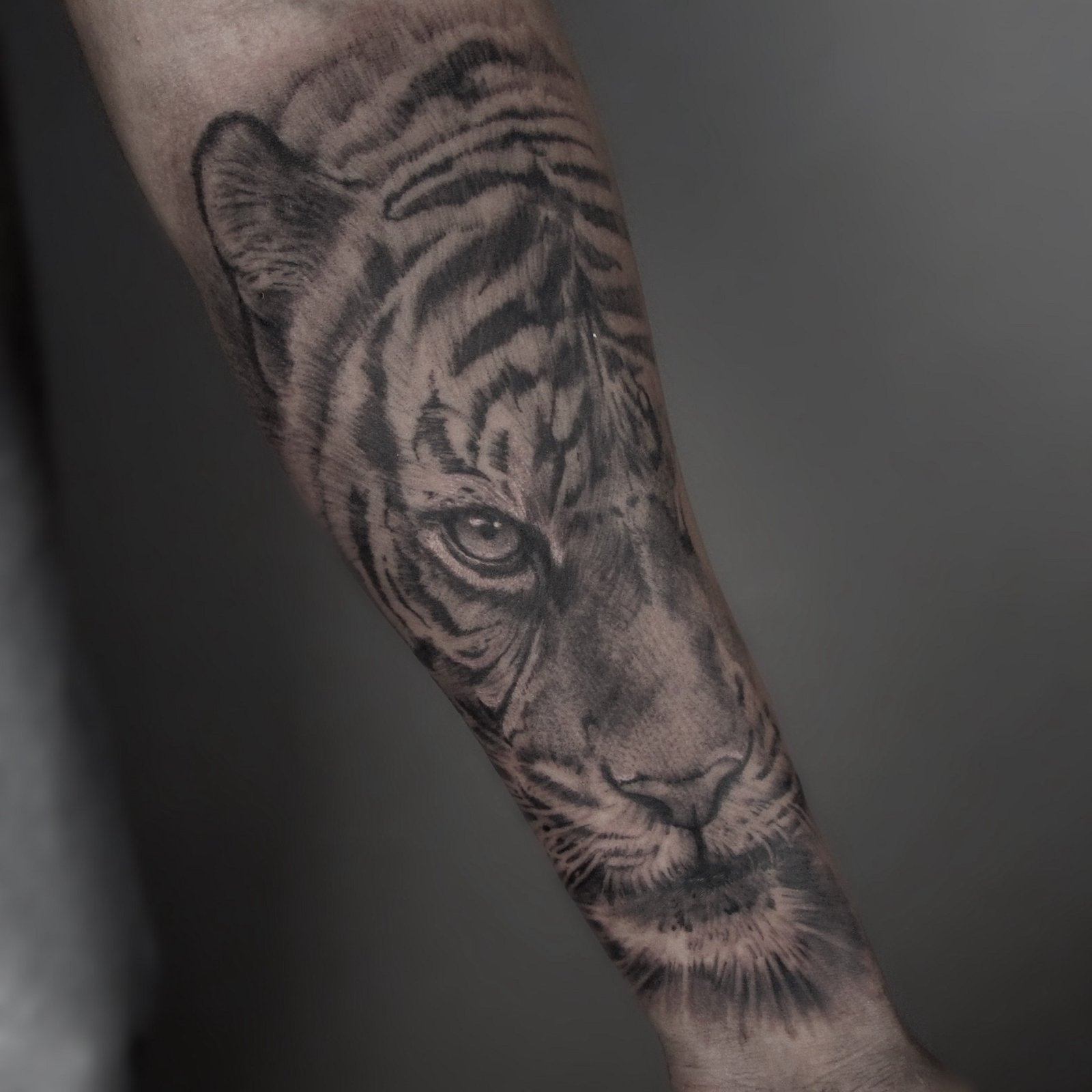 12lccdpxicqclqzhvldbvrq