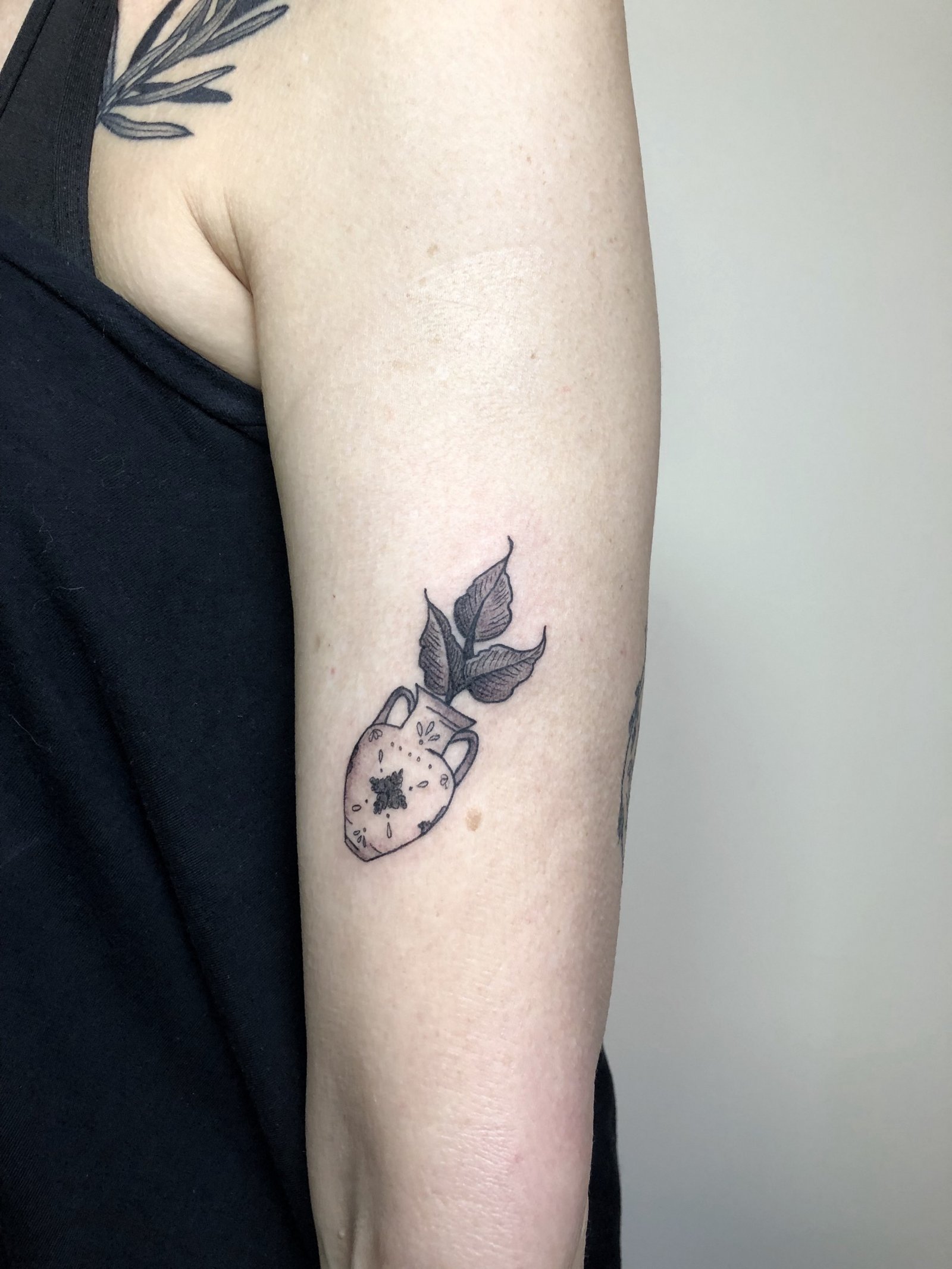 13cejsdinmyifdthvar-bdw 13cejsdinmyifdthvar bdw