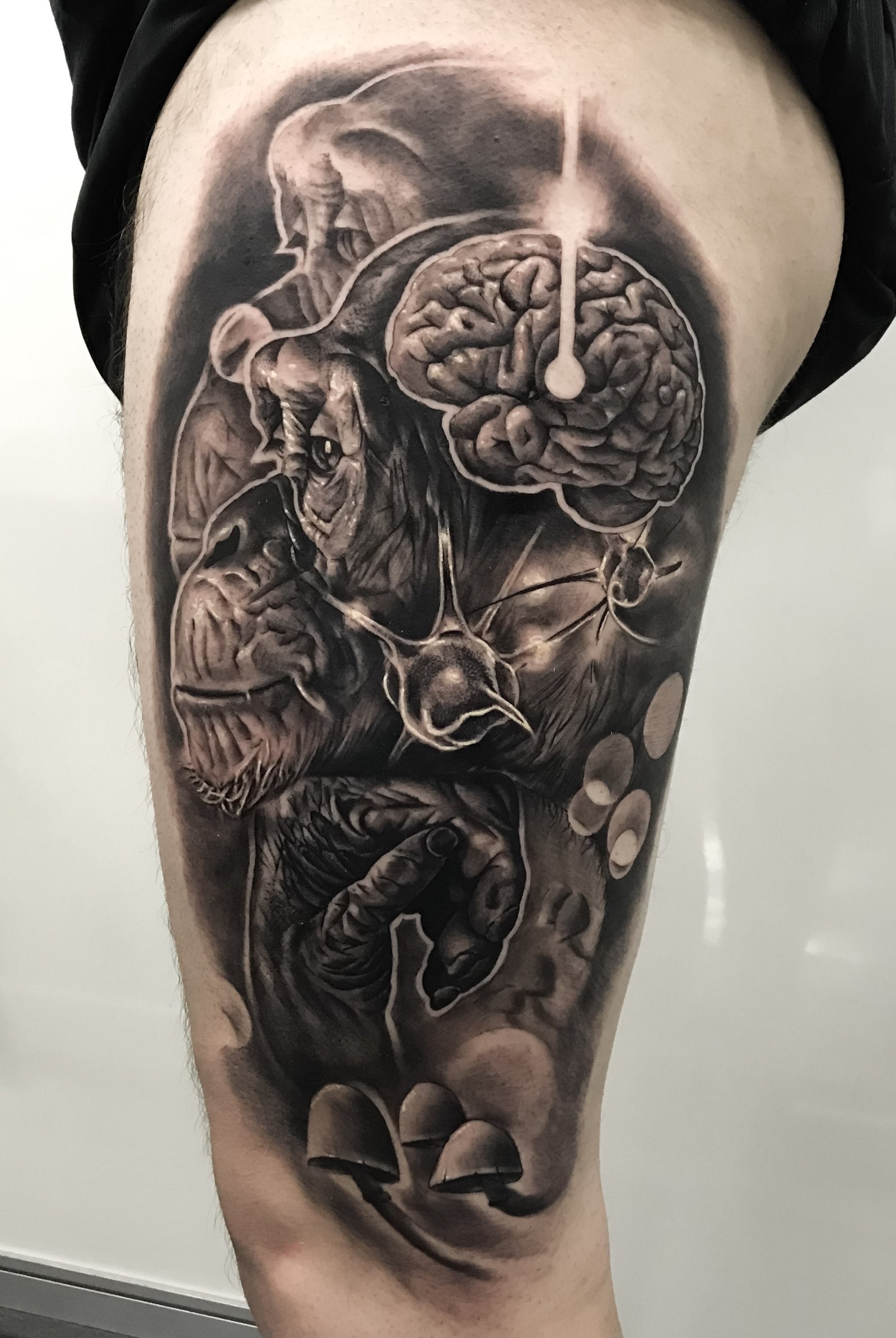 14bllqljebunu0bugutanjw 14bllqljebunu0bugutanjw