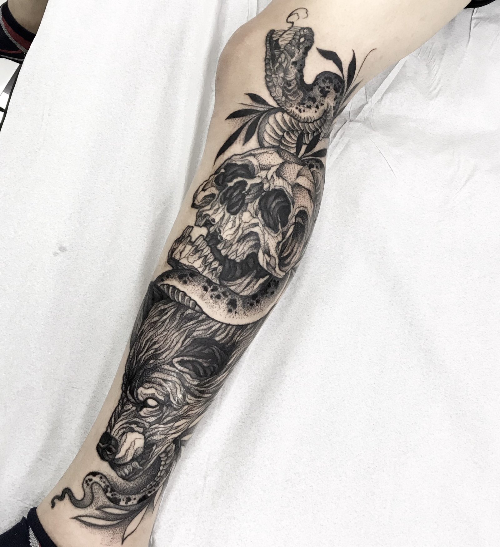 14ksyitx1oawfljcn3gexvq