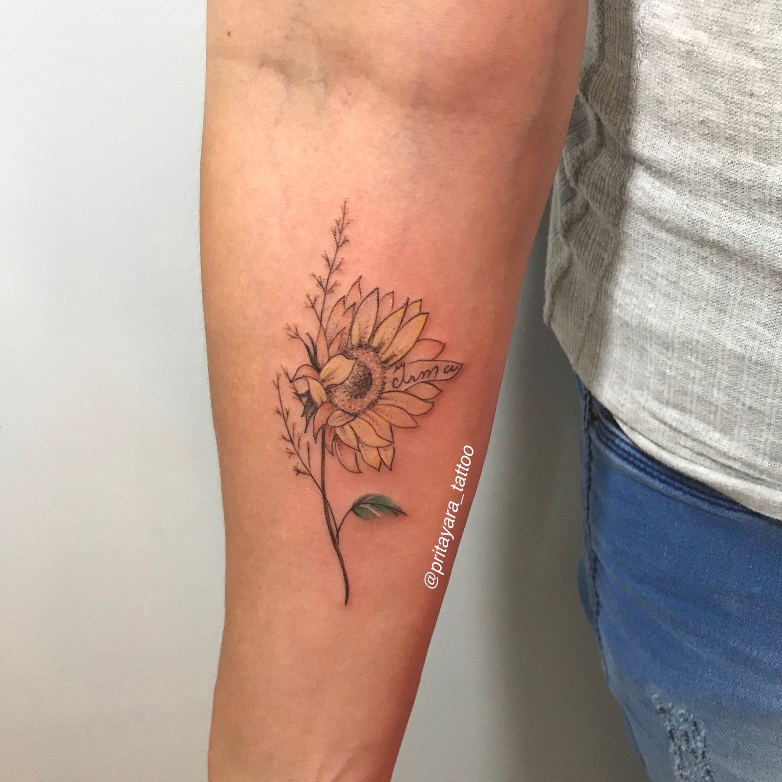 15p8tjjdvxpk6u9fcgq2x0a