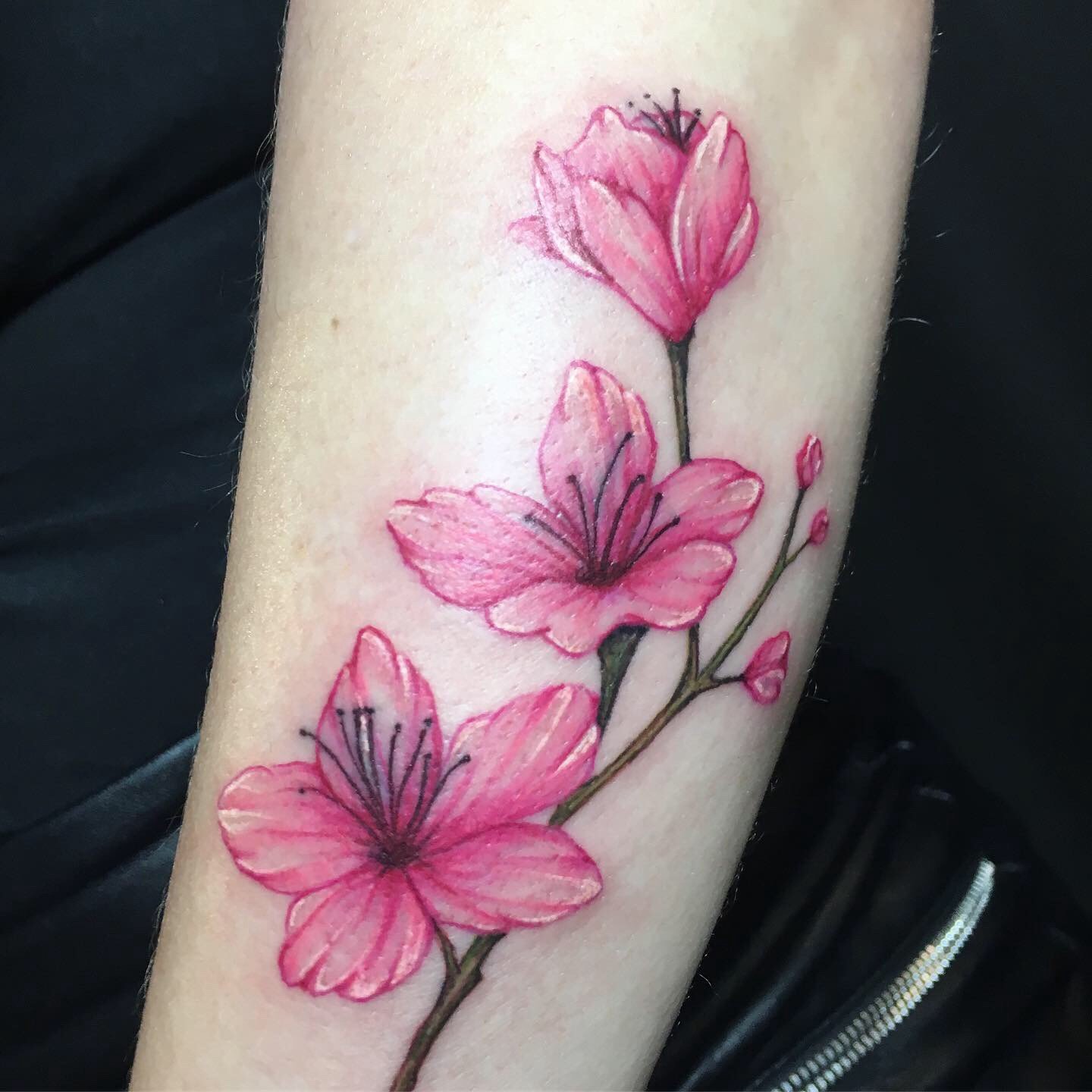 15r6x2k-w3ffdwic595v2vg 15r6x2k w3ffdwic595v2vg