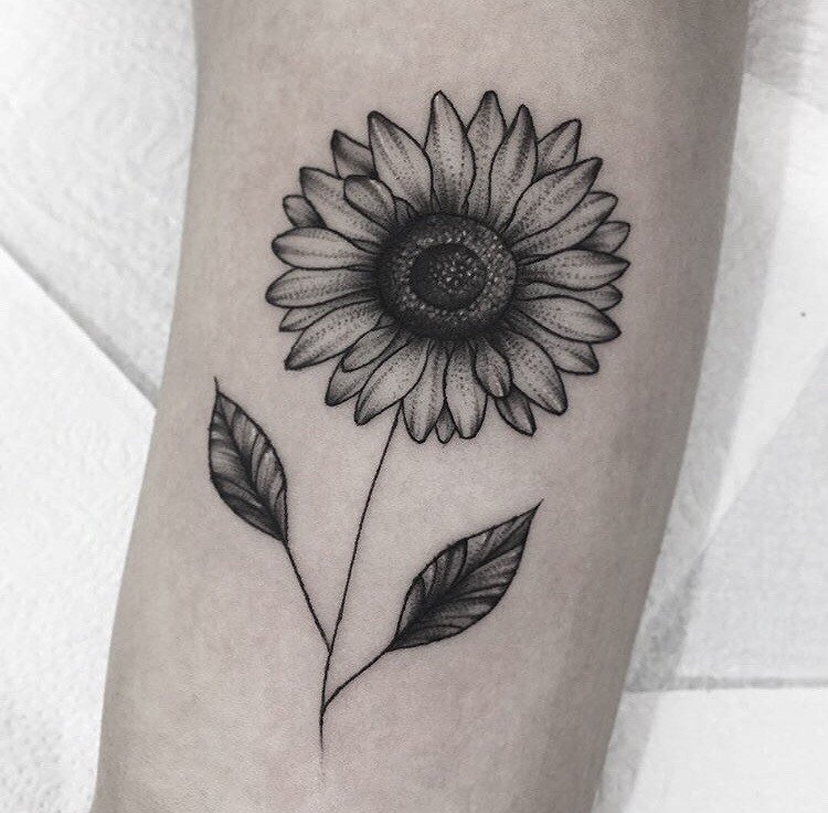 15zeizusqvog1ata5mlyceg 15zeizusqvog1ata5mlyceg