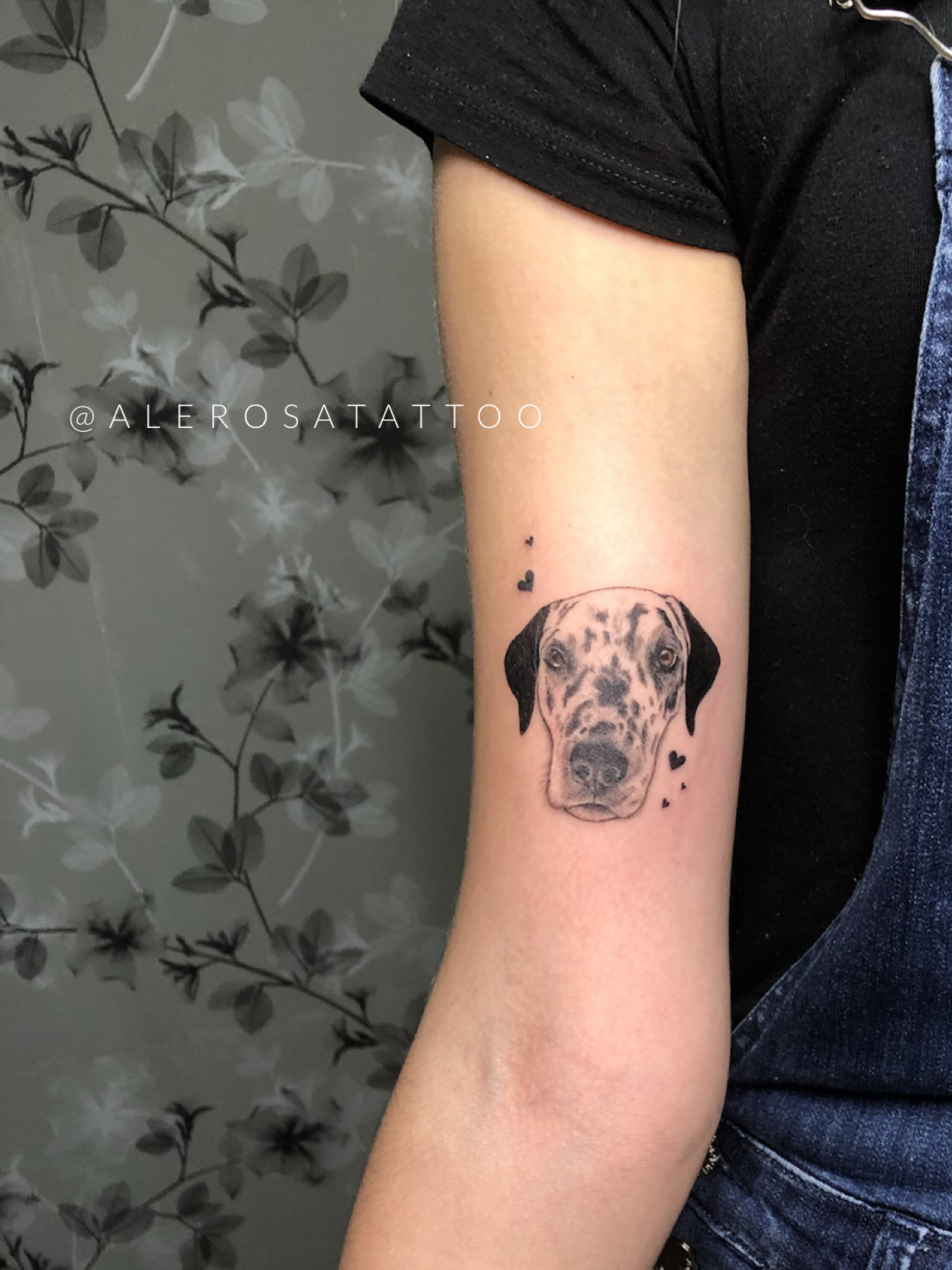 17b0isl597puq7etwaohrrq 17b0isl597puq7etwaohrrq