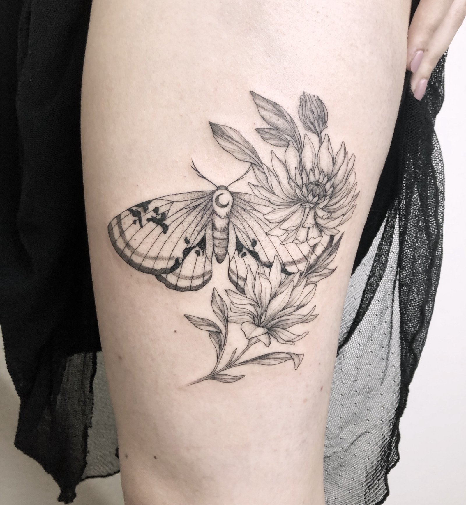 18jnvadxj5ldp1xwknomifg