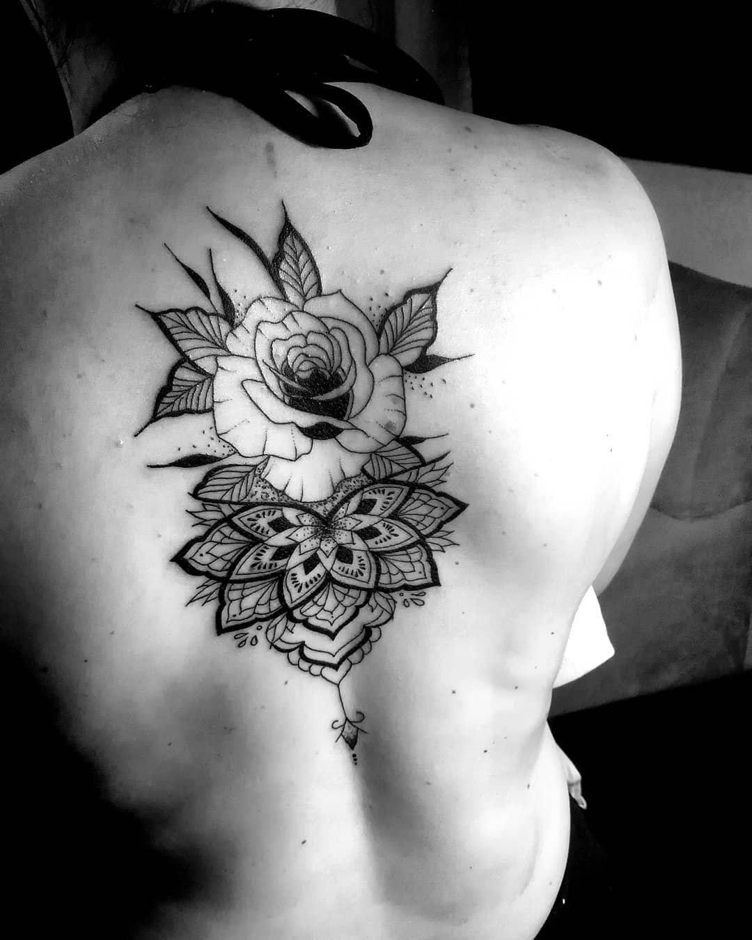 18zvb_ugh7bwu55fqhu4egg 18zvb ugh7bwu55fqhu4egg