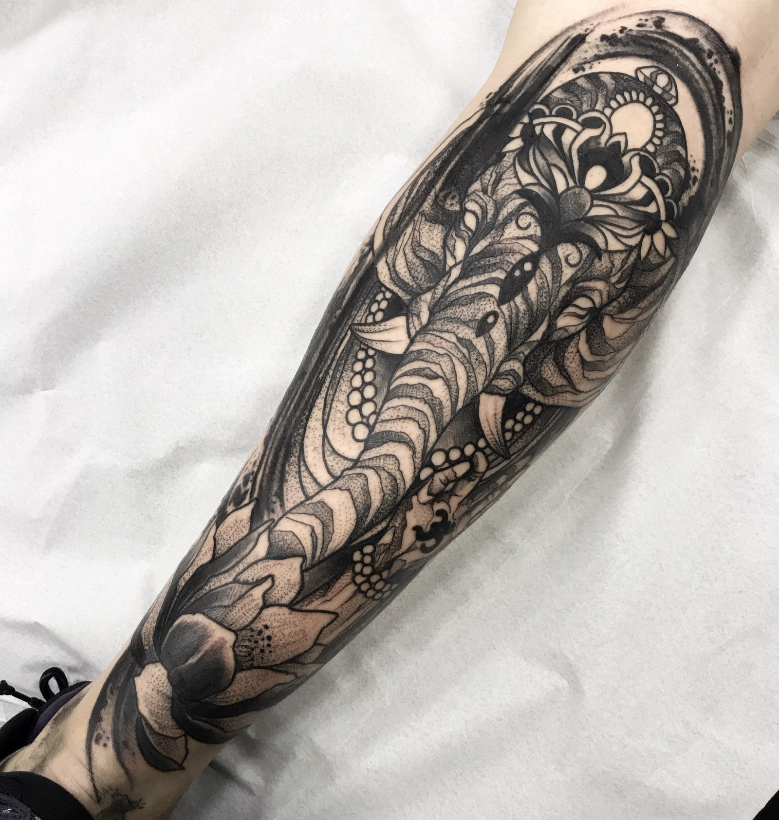 19c-qoeeezqaryjiuoaj2zq 19c qoeeezqaryjiuoaj2zq