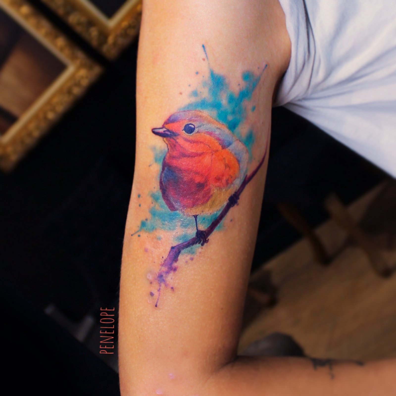 19h0u2dunv7g2inszzp6geq 19h0u2dunv7g2inszzp6geq